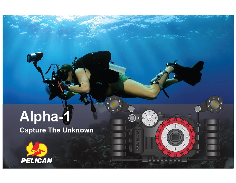 Alpha 1-01.jpg