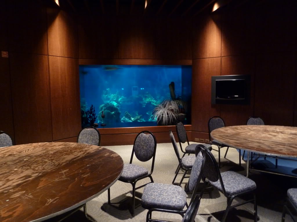 Views into the aquarium from the main salon.