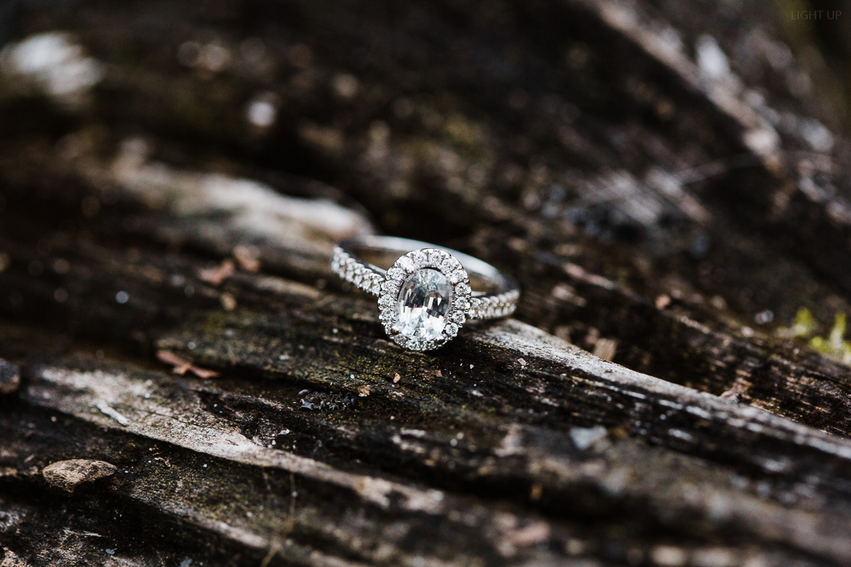 Bok-Tower-Engagement-24.jpg