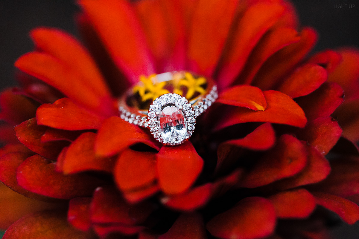 Bok-Tower-Engagement-40.jpg