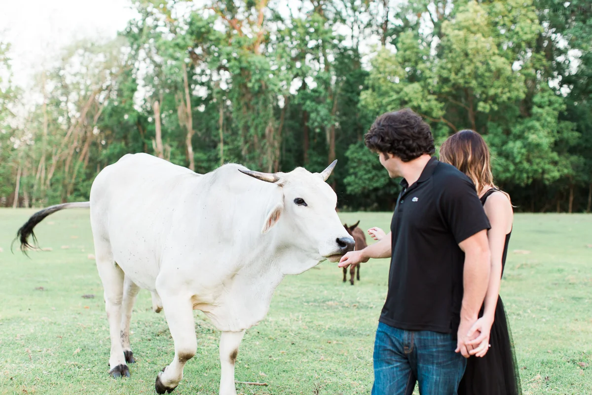 engagement-photographer-Orlando-33.jpg