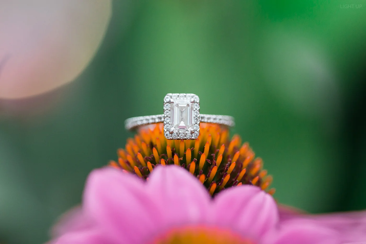light-and-airy-engagement-4.jpg