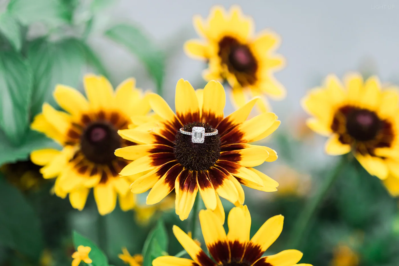 light-and-airy-engagement-5.jpg