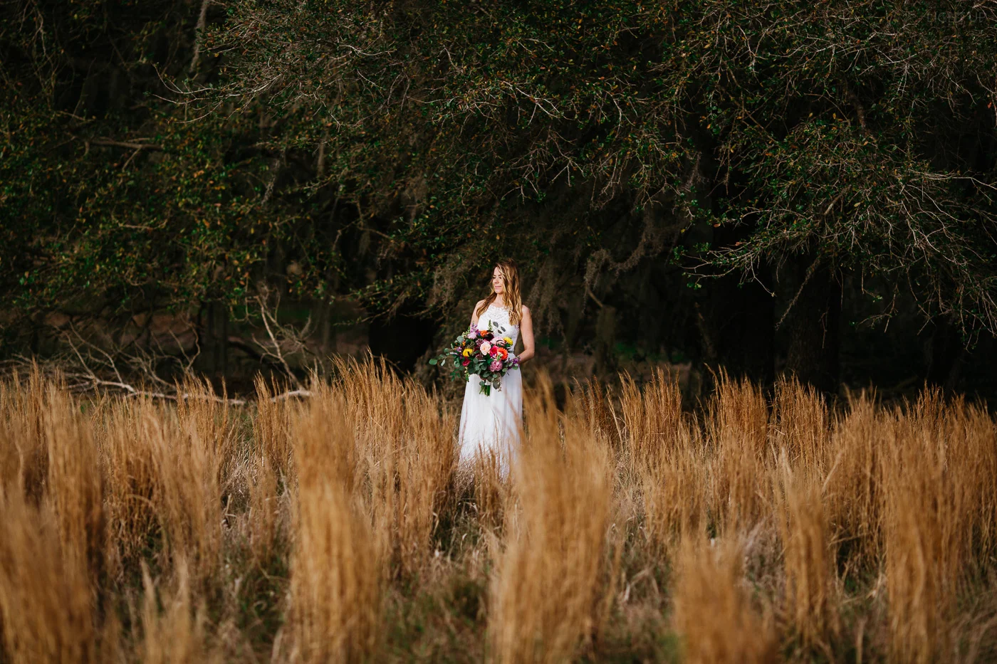 florida adventure wedding-4.jpg