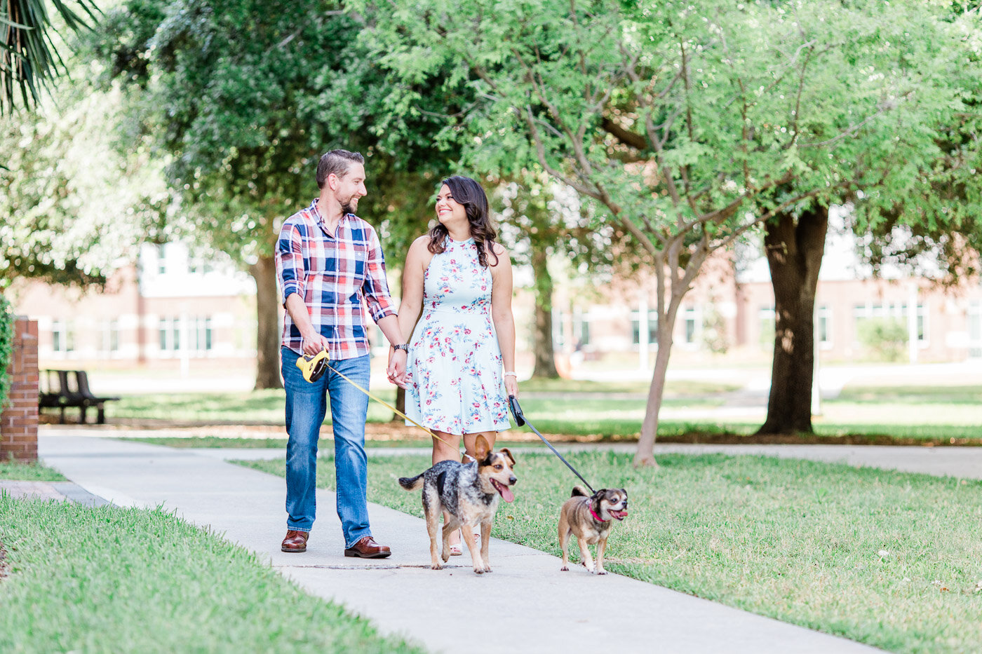 Engagement Photos at UCF