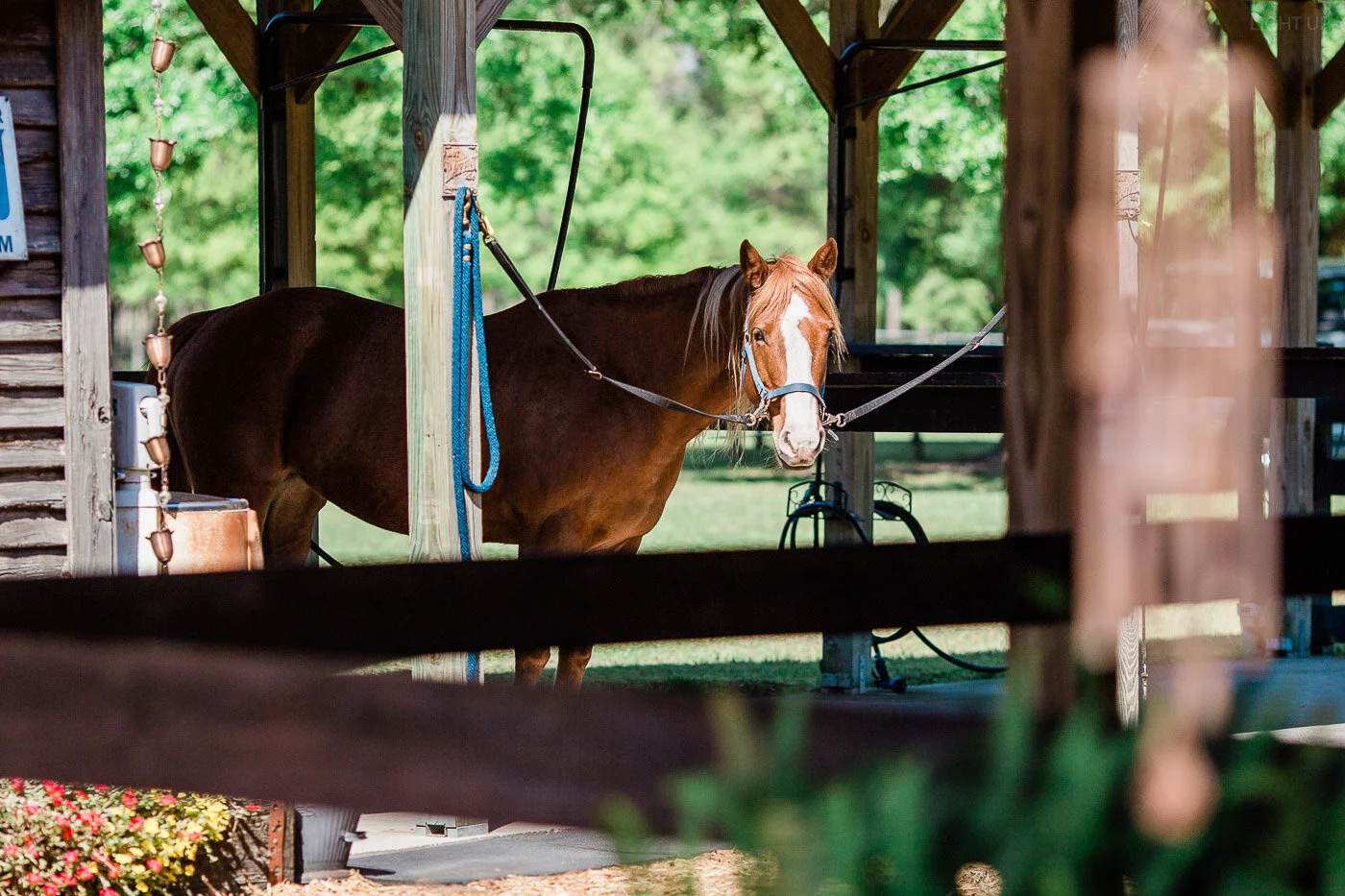Lakeland-barn-wedding-at-white-horse-ranch-2.jpg