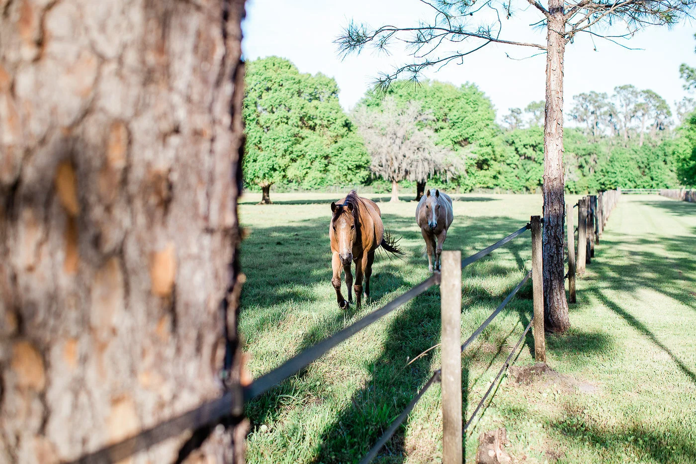 Lakeland-barn-wedding-at-white-horse-ranch-62.jpg