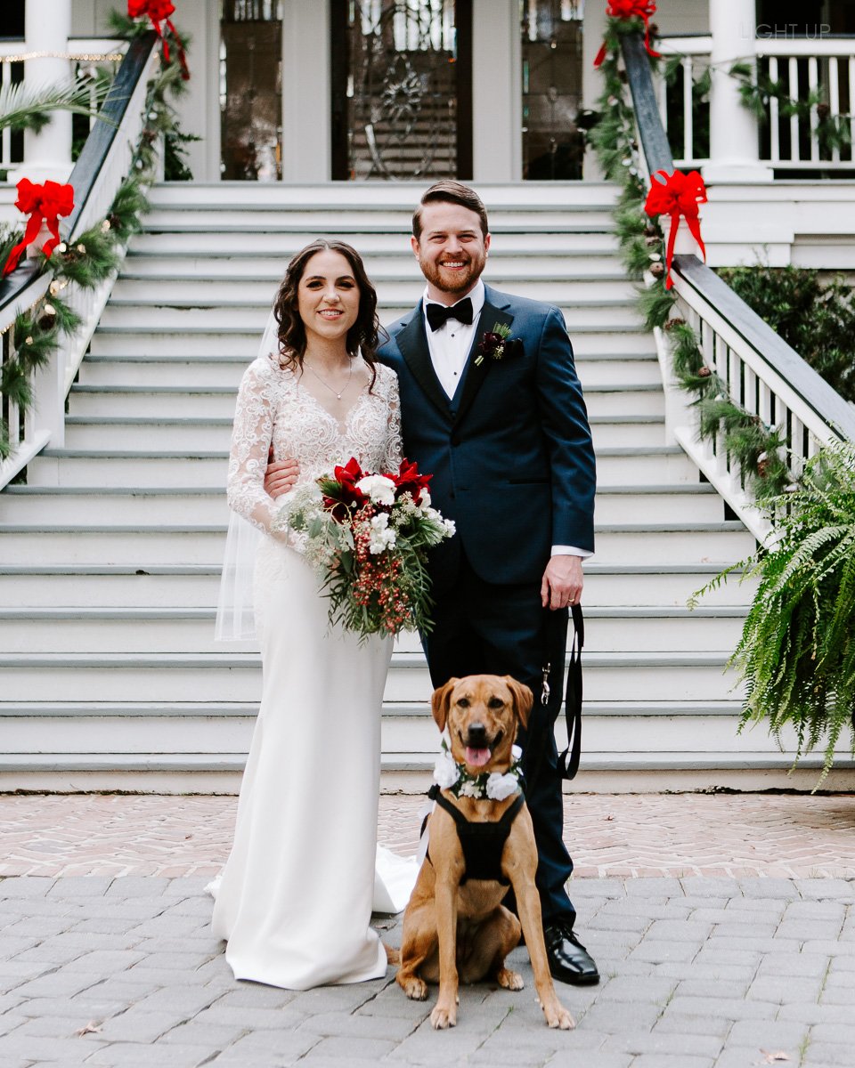 Wedding photos with dogs