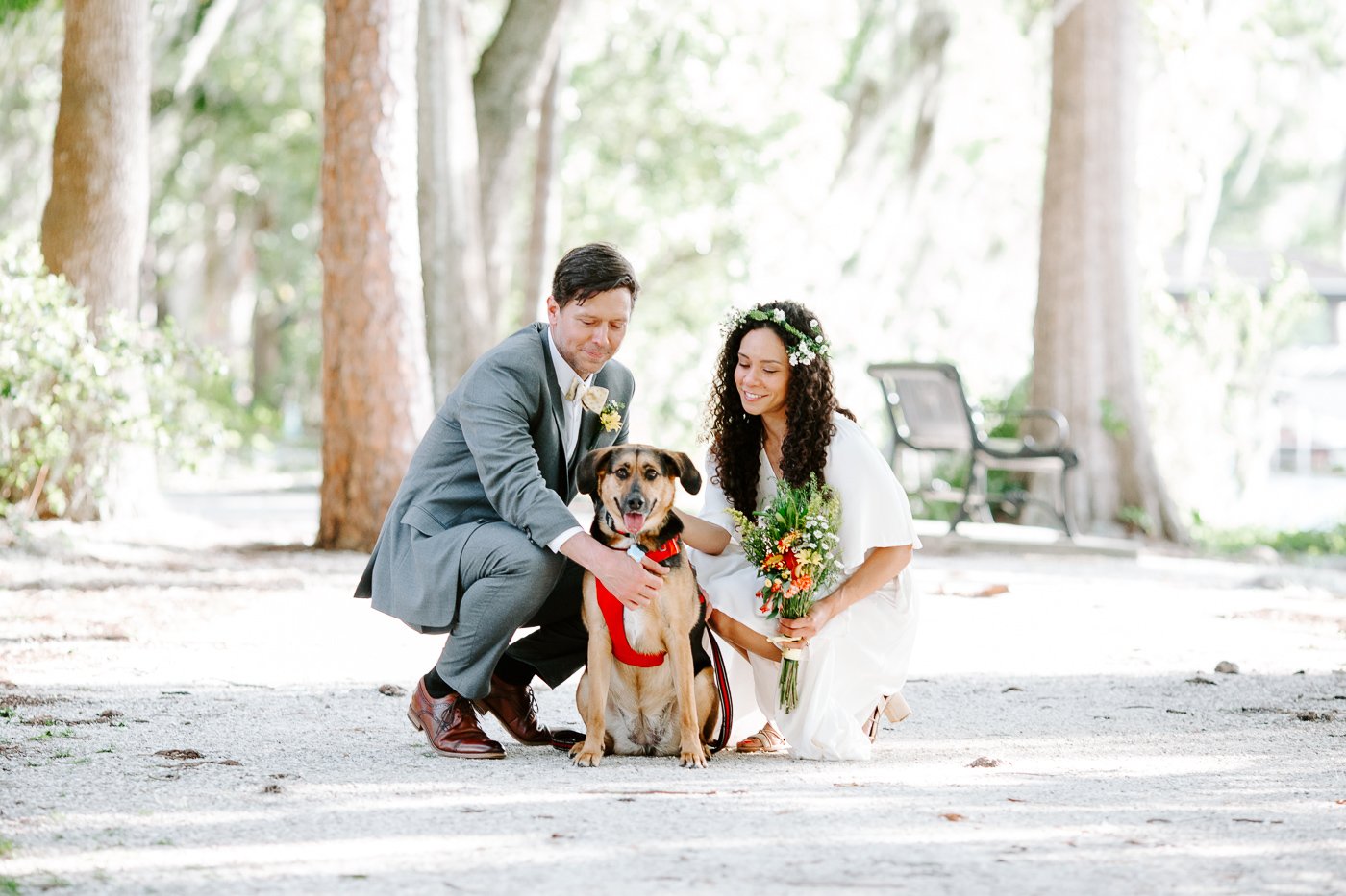 Elopement with dogs - Orlando