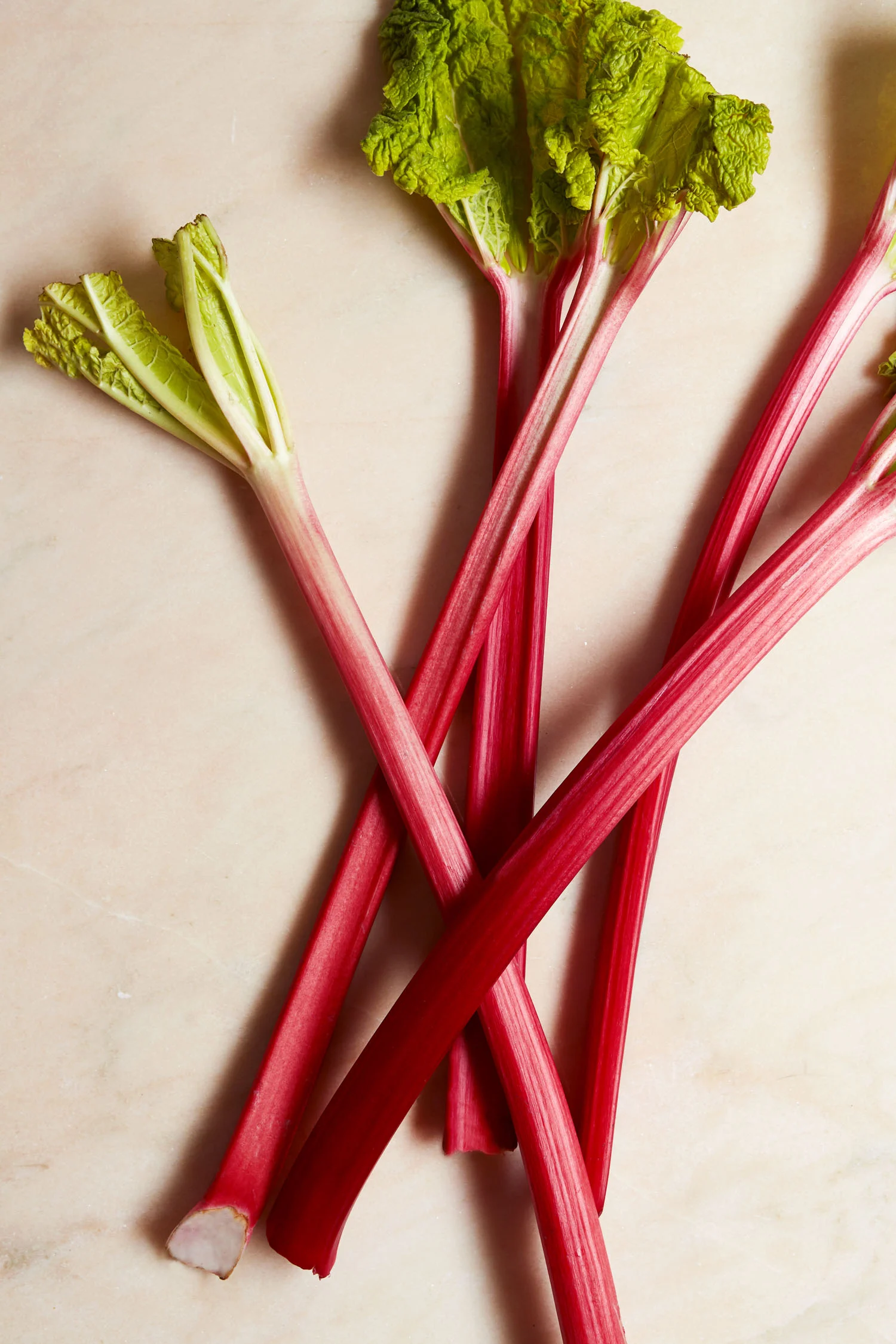 Rhubabr2.jpg