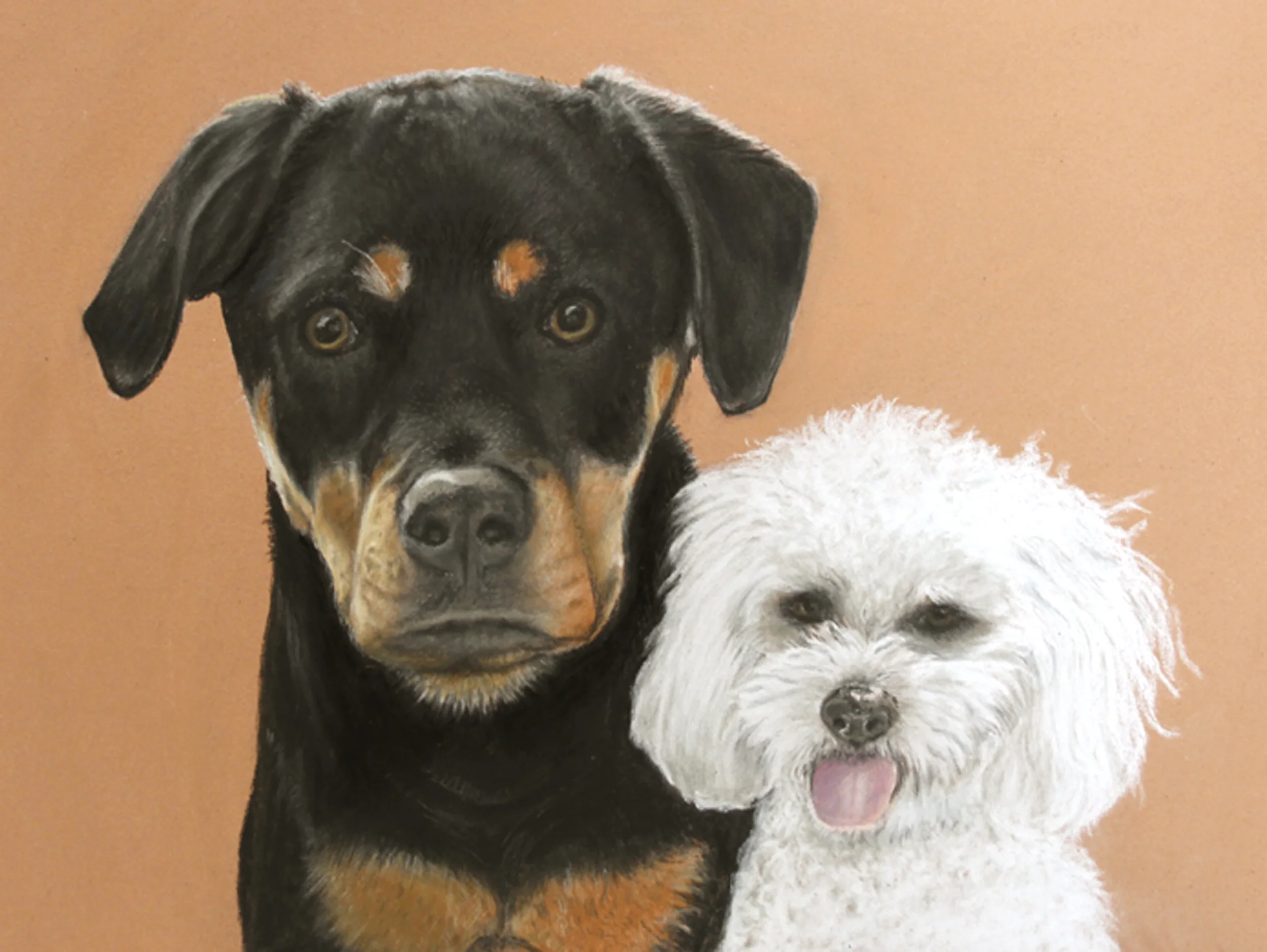 1BRANDY and BAILEY.jpg