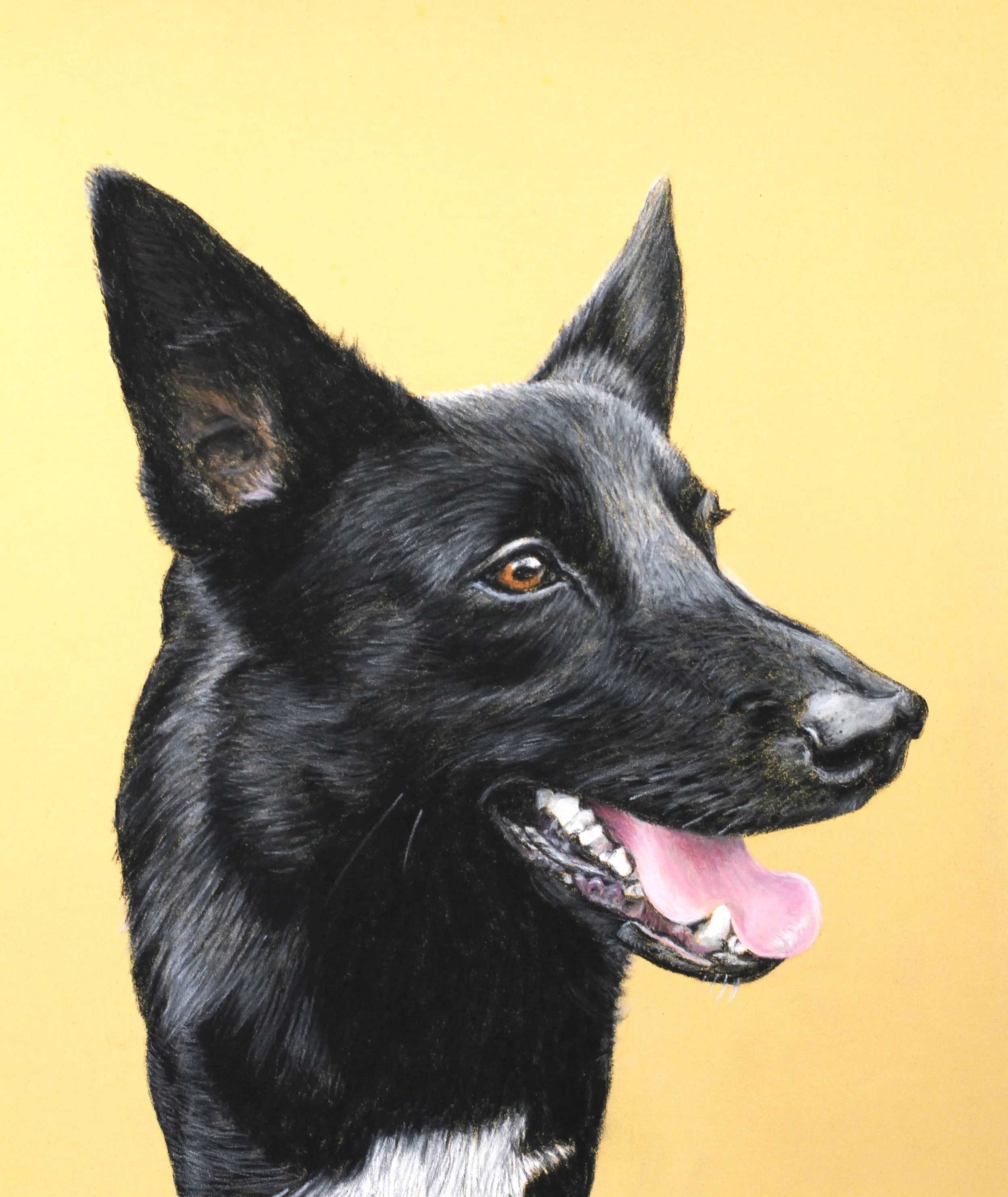   Wow Andrea, what can I say?&nbsp; That is absolutely brilliant!&nbsp; I am totally gobsmacked its fabulous!    Penny Jarman  