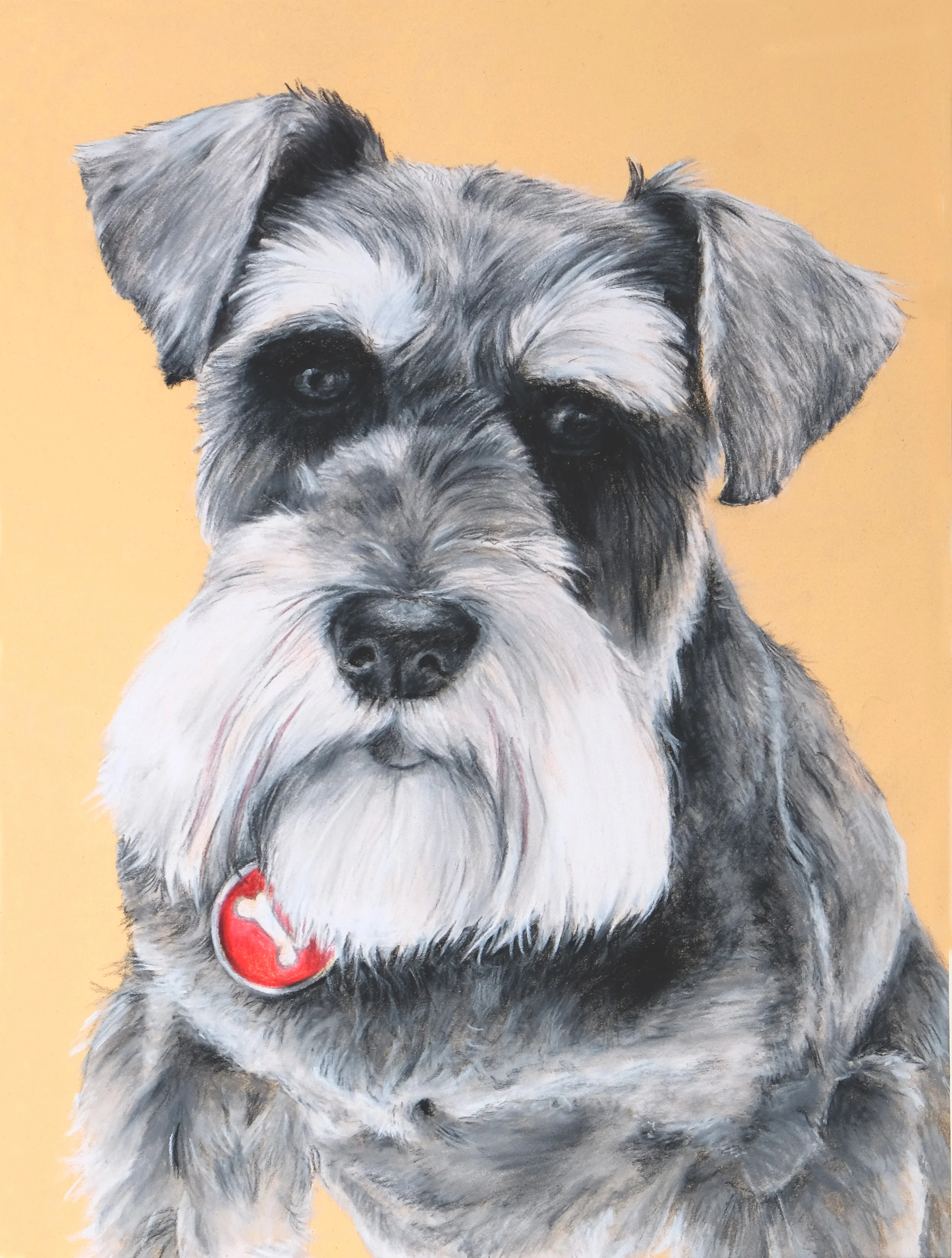 PORTIA PUP.jpg