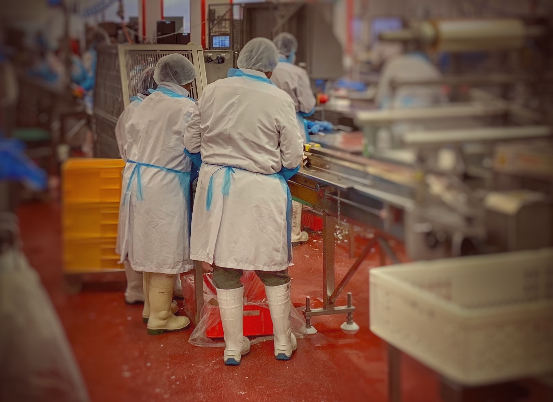 Food production area where noise assessments are needed