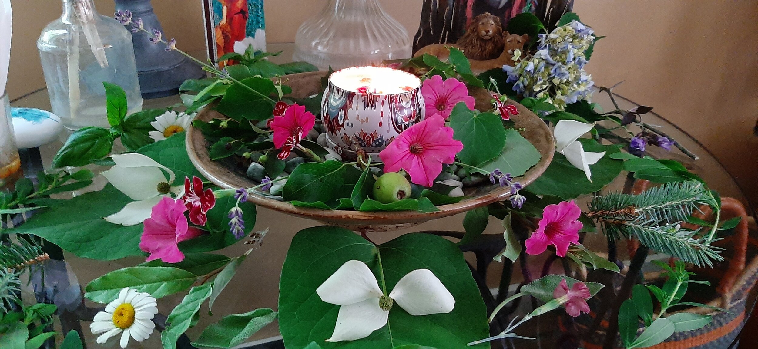 Plant Medicine Intention Altar.jpg