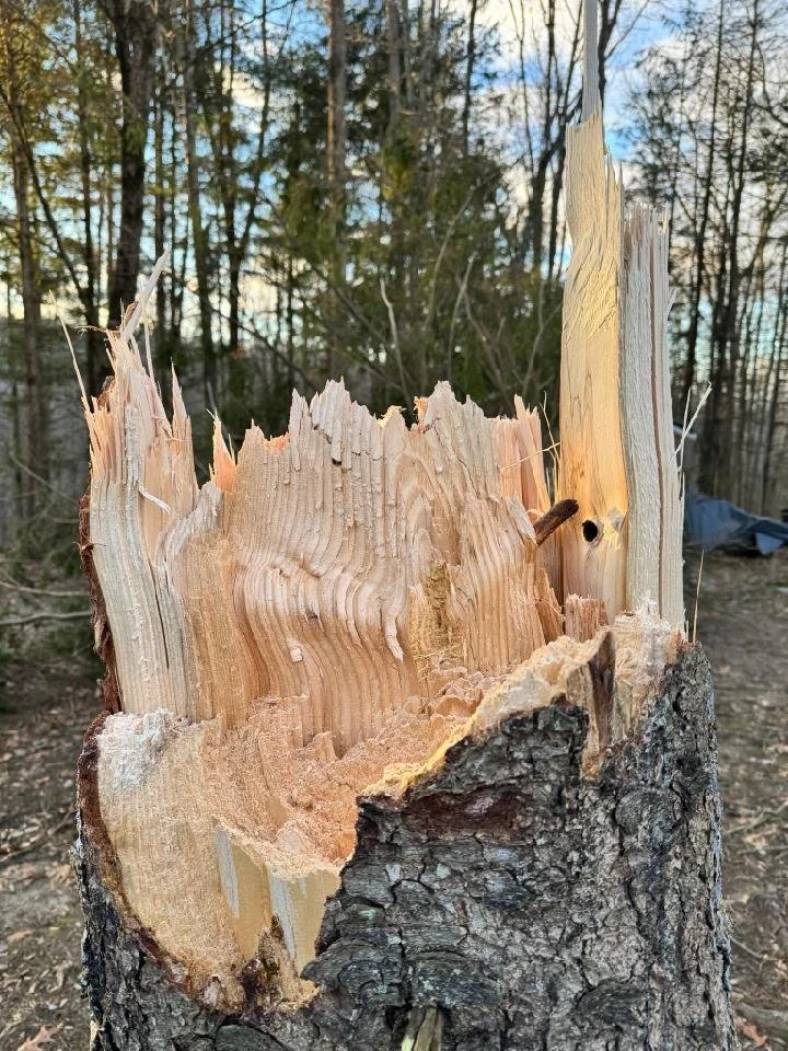 Is my mind poised for growth?