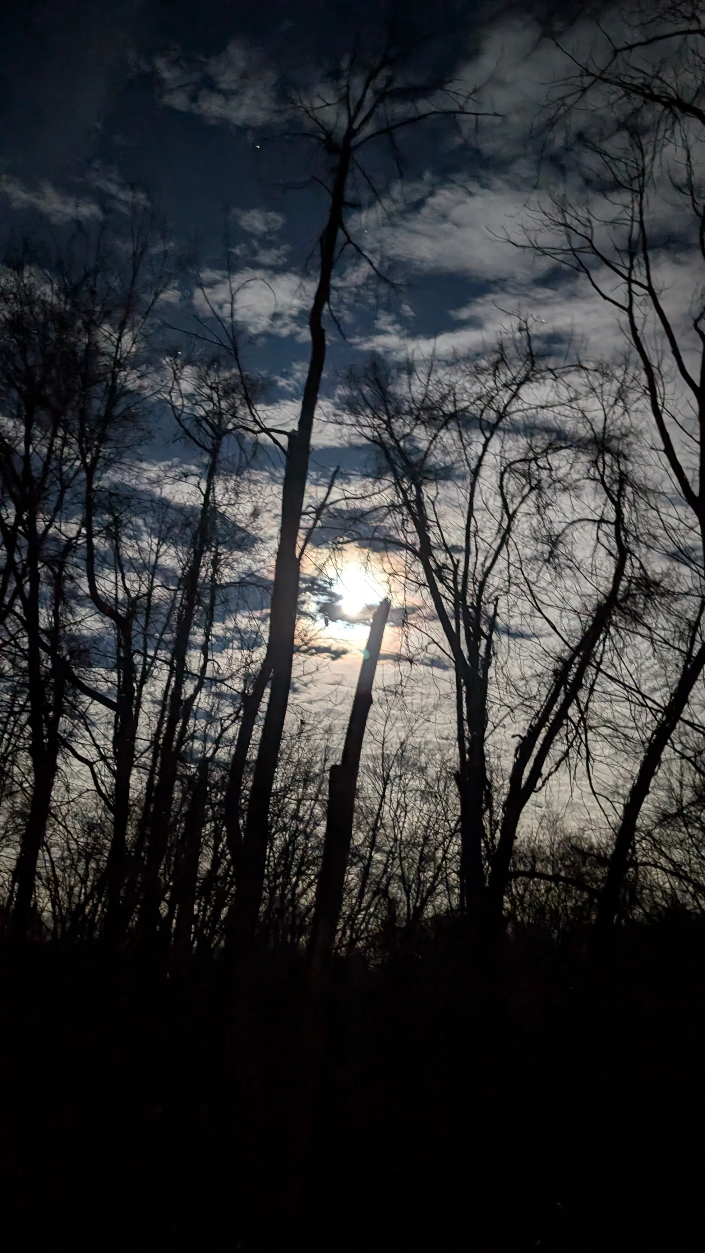 The Last Full Moon: A Grandmother’s Way of Seeing