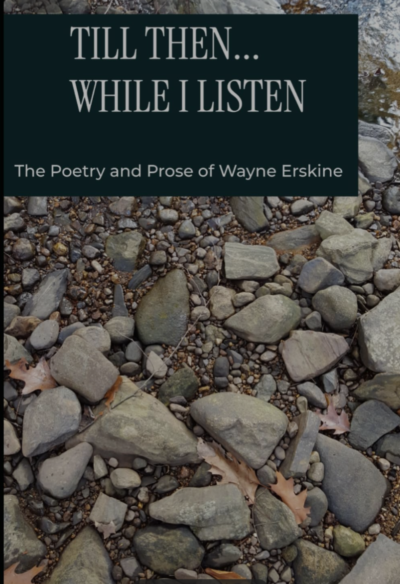 Waynes Book Image.png