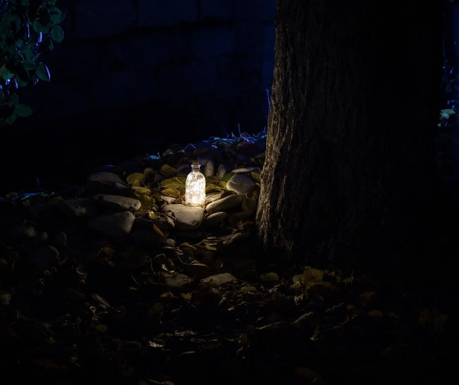 Single lantern in the dark woods.jpg
