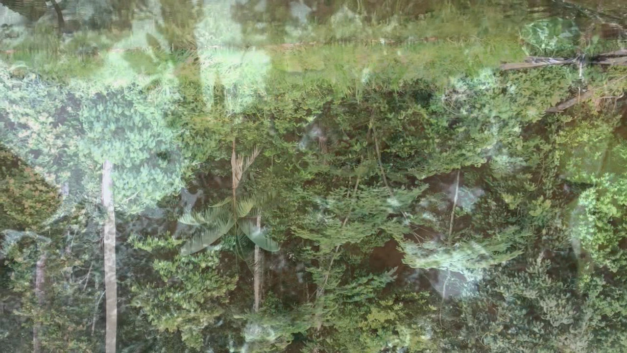 WatersBreath.Still008.jpg