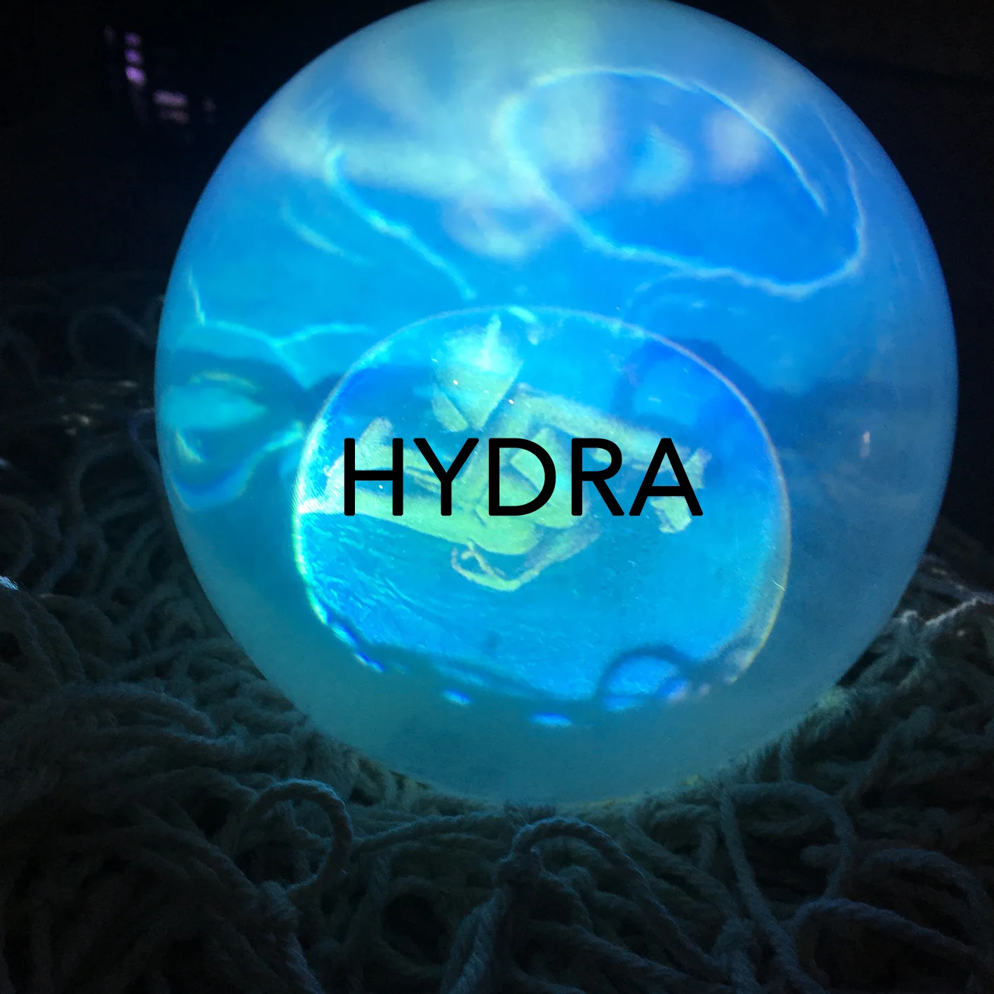 hydrabutton.jpg