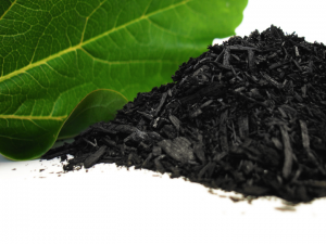 Biochar (for Soil).png