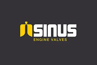 Sinus.jpg