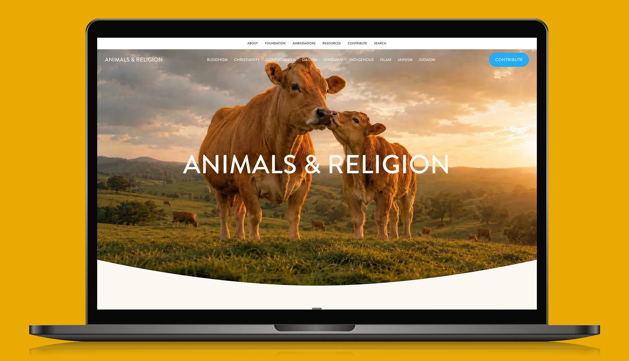 Animals &amp; Religion