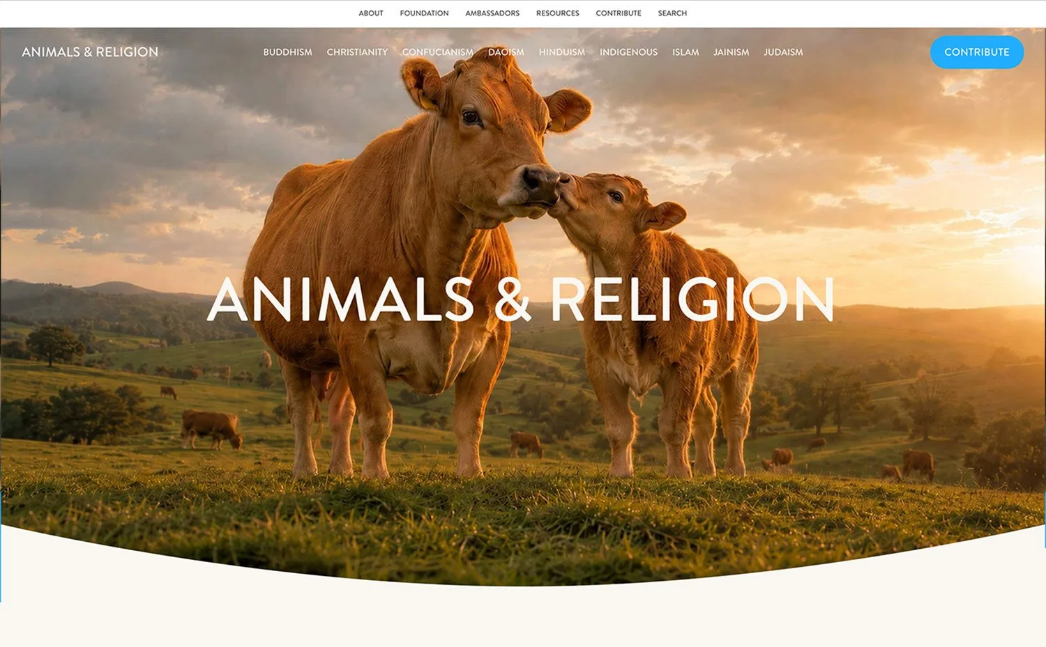 Animals &amp; Religion