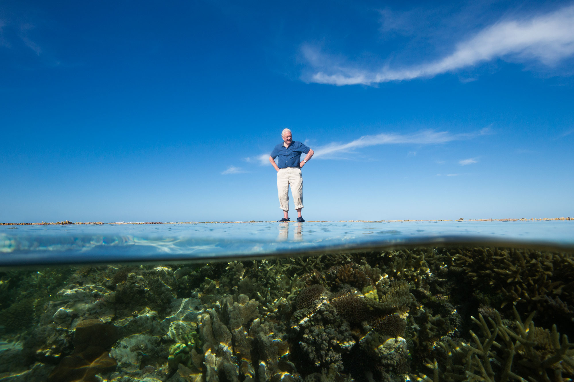 Editing Dominic Jack Lester