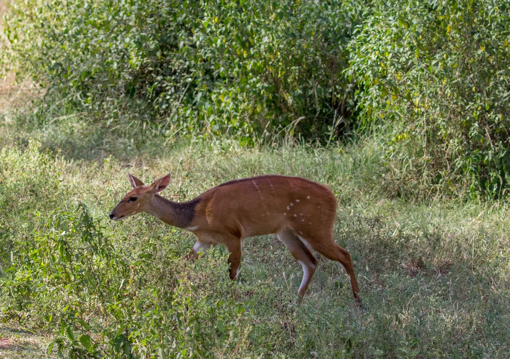 IMG_9897.jpg