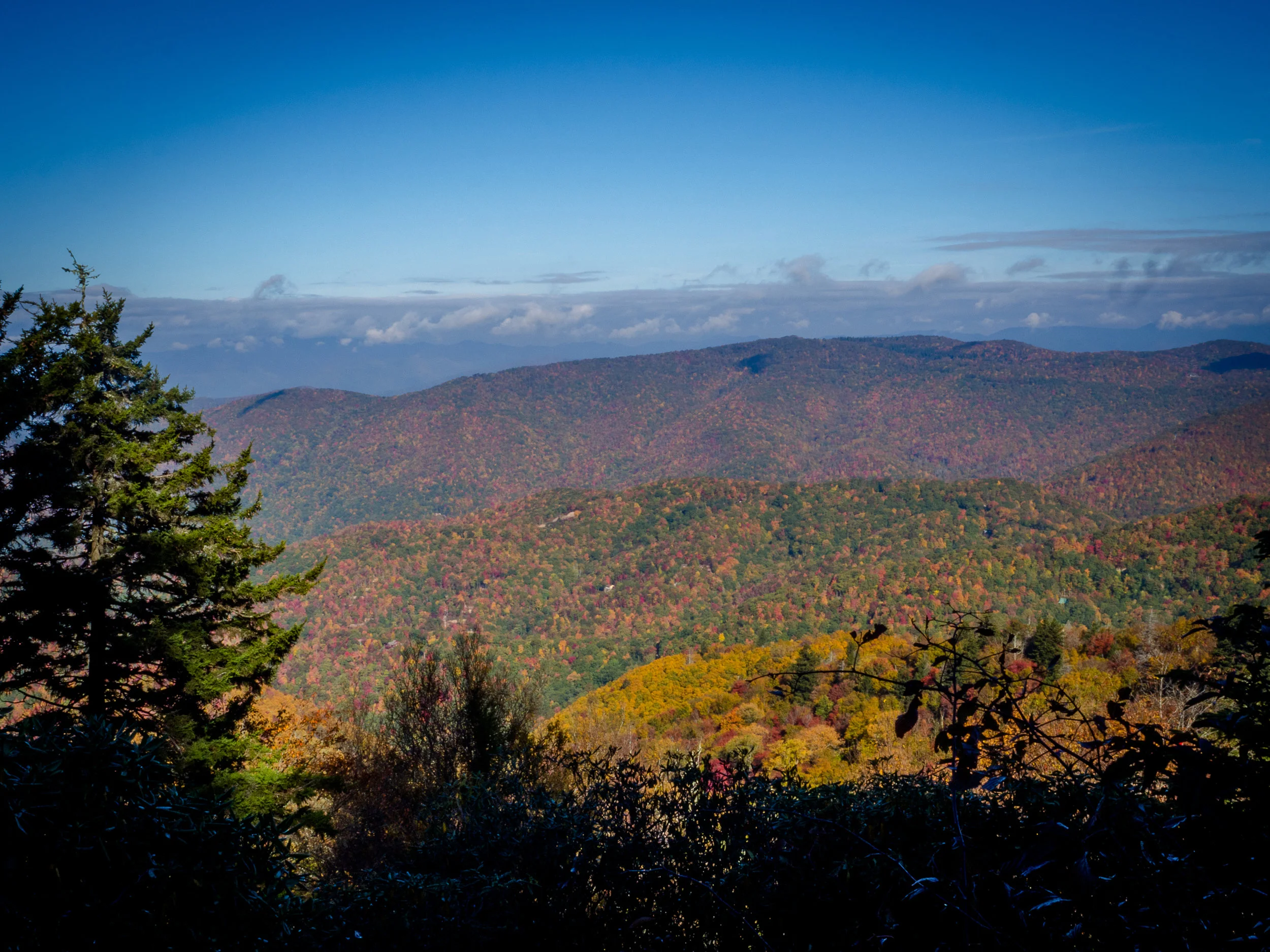 PA170564.jpg
