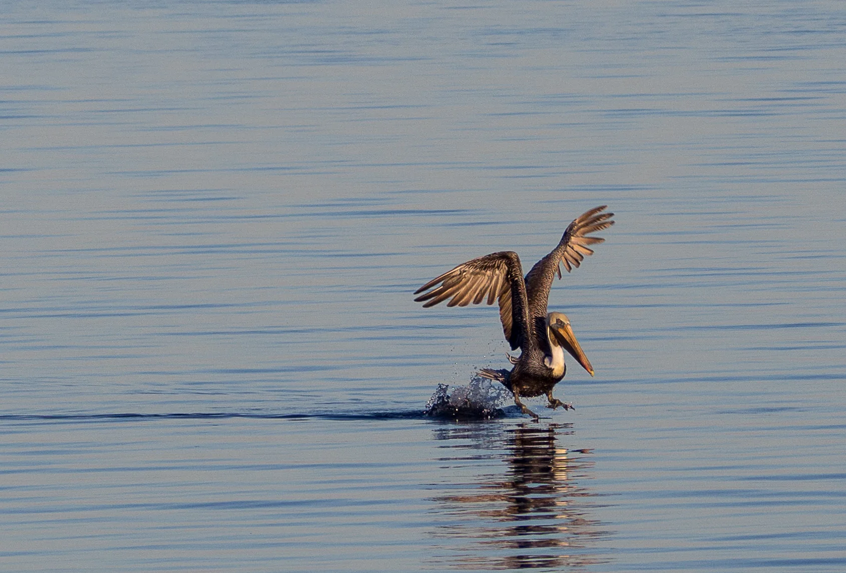 PA220919.jpg