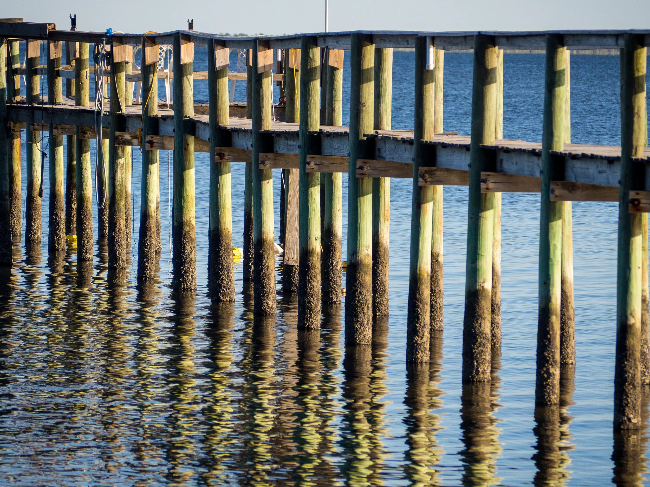 PA220907.jpg