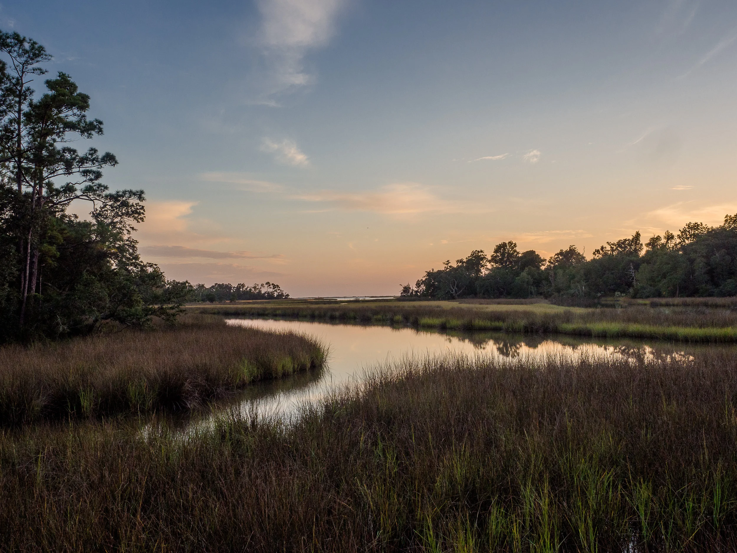 PA271277.jpg