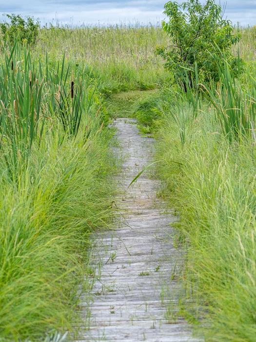 I'm Not Attached to One Way... I'm Just Showing Up