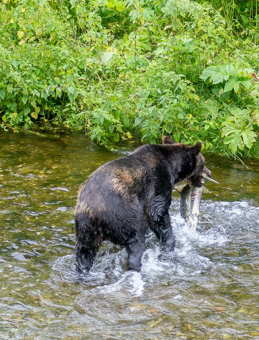 20170722-P7220388.jpg