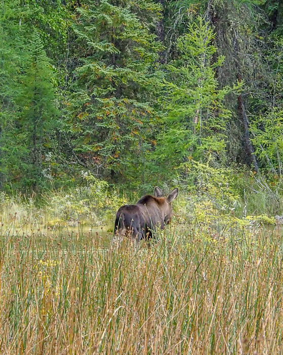 20170901-P9010755.jpg