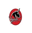 unicorn productions logo.jpg