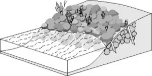 Stormwater Management Study