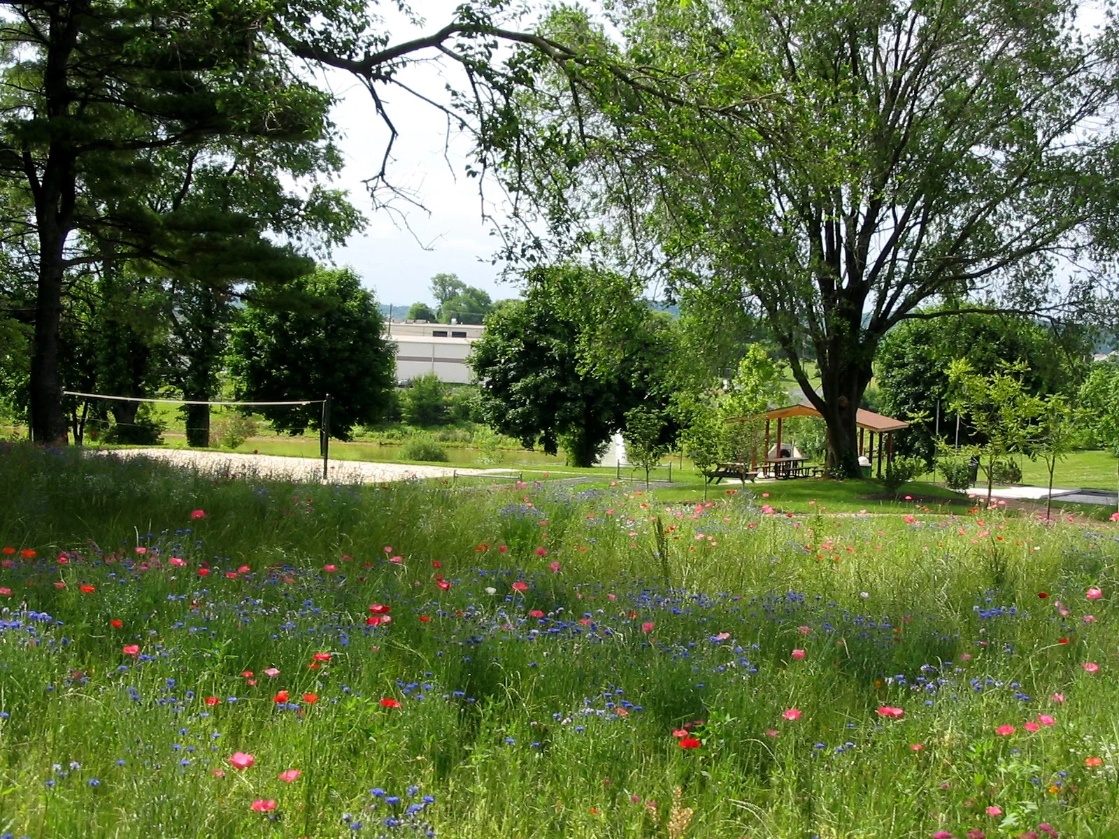 MEYER LANE PARK