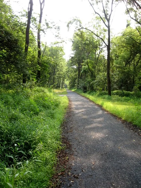 LEHIGH COUNTY | RAILS TO TRAILS