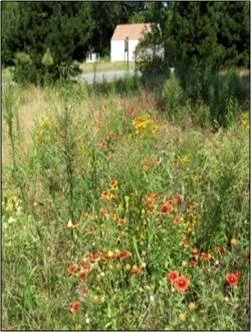 Site Development and Retrofit Methods  to Reduce Stormwater Costs