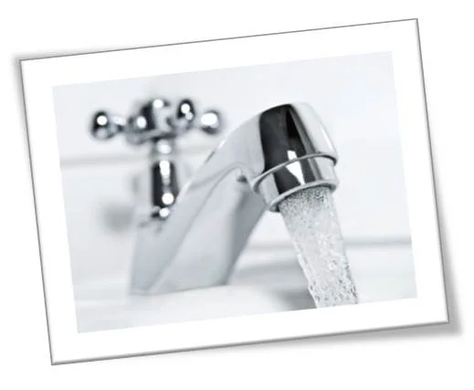 Harmful Algal Blooms (HABs)  in Drinking Water 