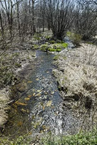 Furnace Stream flows into Maiden Creek which flows into Ontelaunee Lake which is the drinking water supply for the City of Reading in Windsor Township. Streams are a key part for nitrogen wastes from land to be filtered and changed into harmless nitrogen gas. Berks Nature and Stroud Water Research Center and other groups are working with farmers in the region to protect water resources and reducing pollutants on farms.