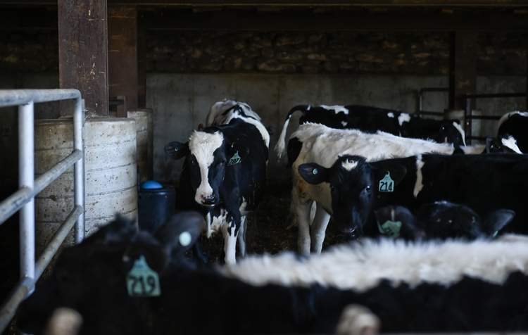 A thirst for clean water flowing from Berks County