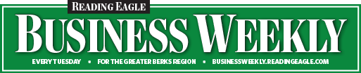 Young Professionals in the Spotlight