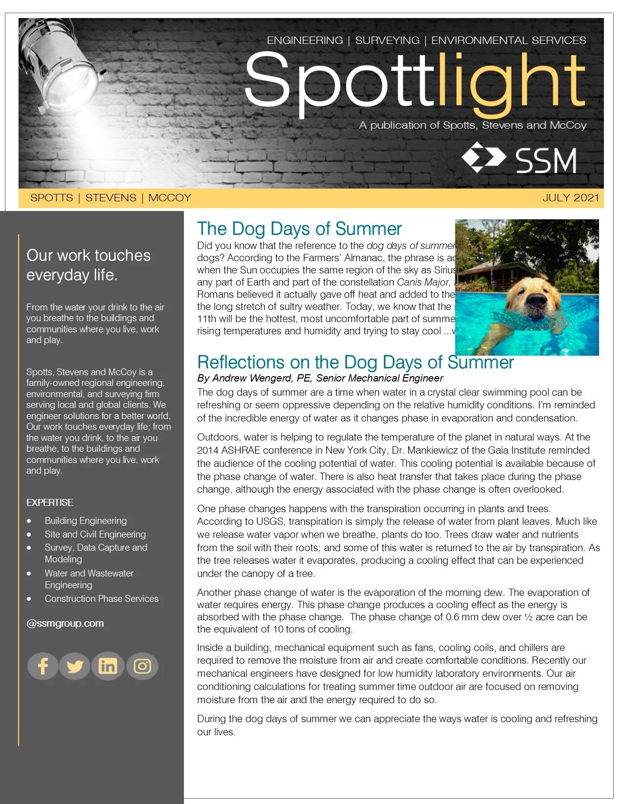 Spottlight on the Dog Days of Summer