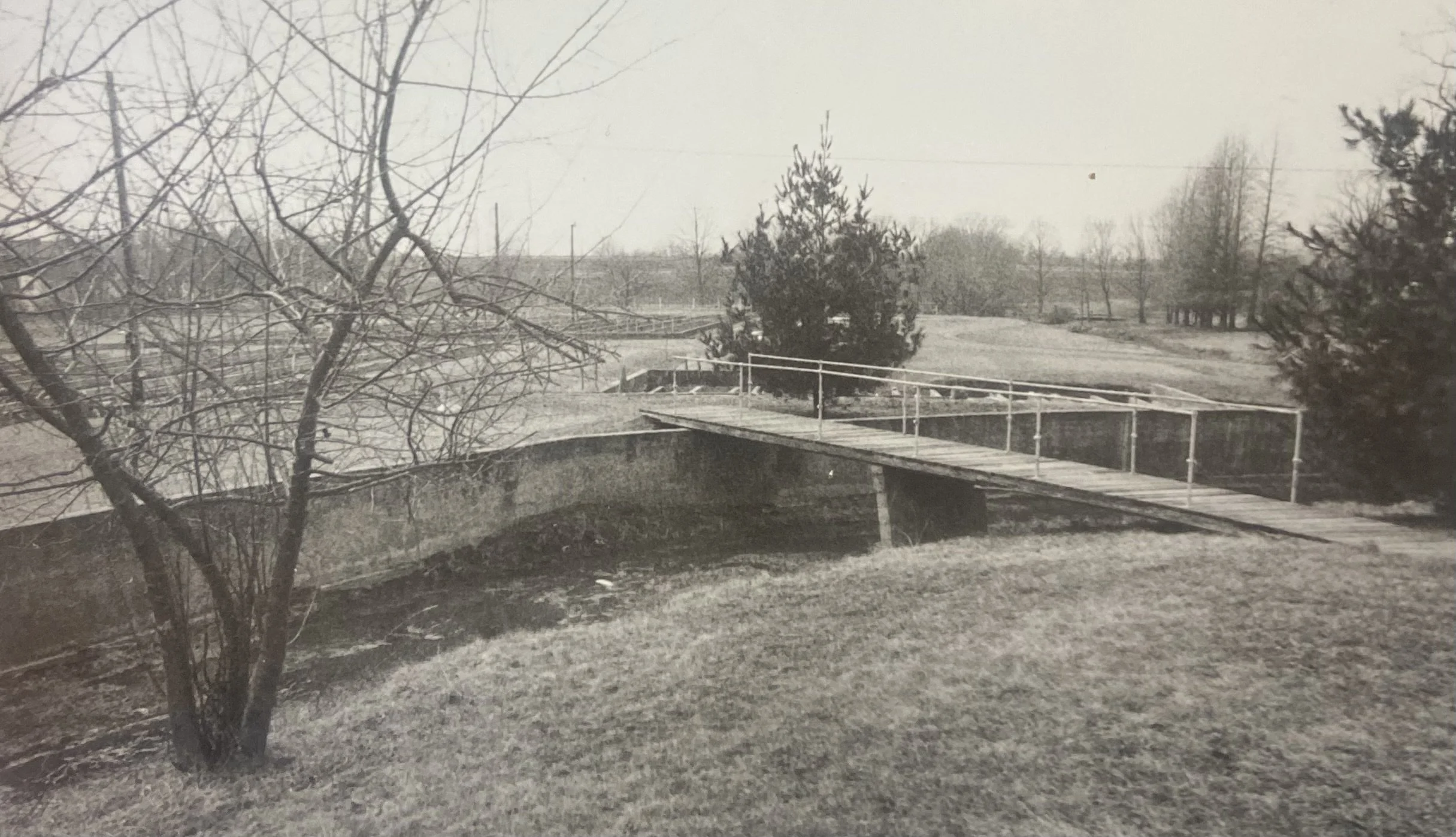 Story #14 - Trout Hatchery Project Profile