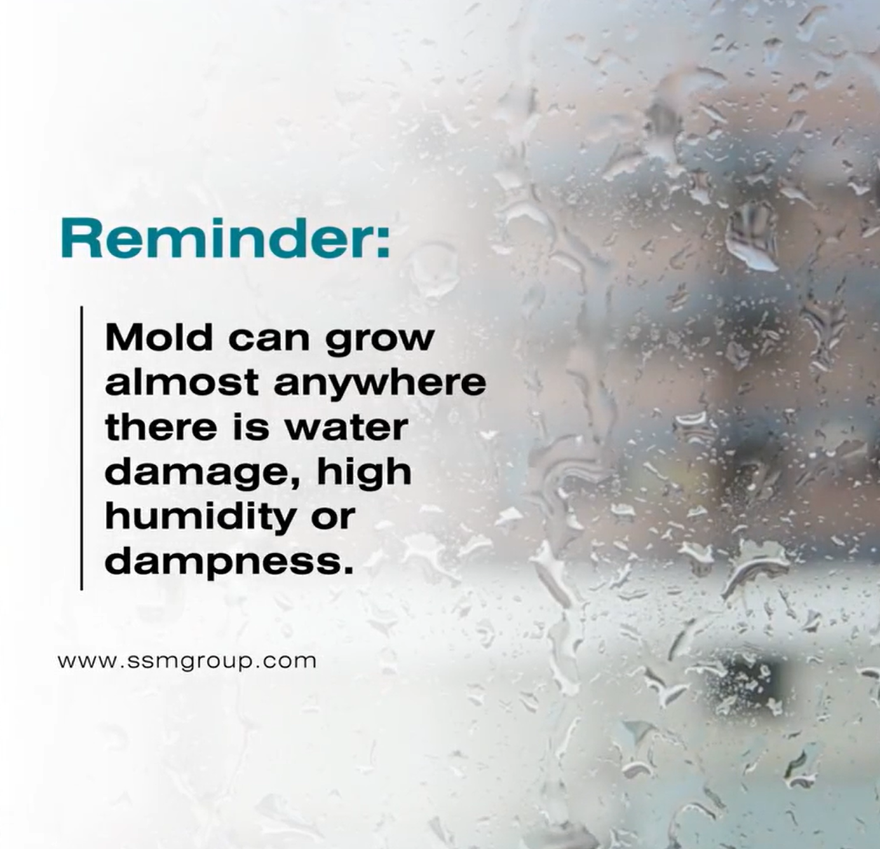 Mold Awareness Month